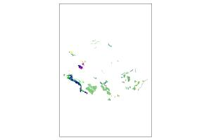 Cartografia geobotanica dei SIC al di fuori delle aree protette: Carta della vegetazione reale
